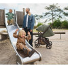 Anex Ride Stroller Freshly
