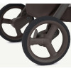 Anex Ride Stroller Freshly