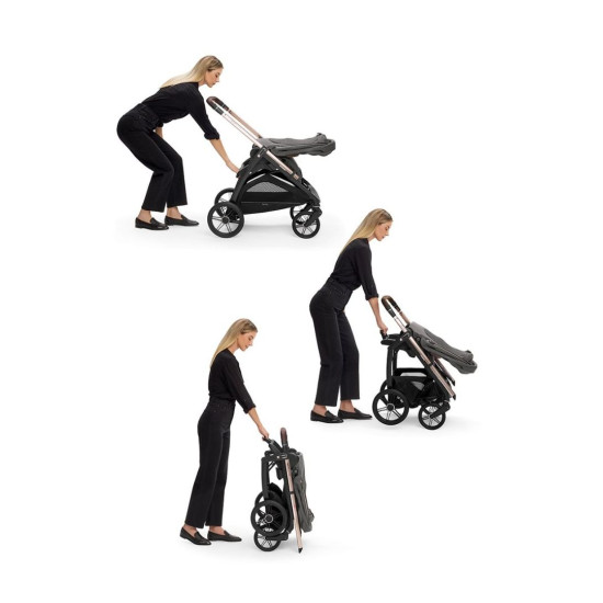 Inglesina Aptica System Quattro με Darwin Marble Grey (Palladio Black Chassis)