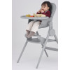 Anex Ozy Highchair 3 in 1 Shade