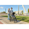 Inglesina Electa Stroller Loft Green (Iron Black Chassis)