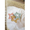 Bibs Μασητικό Οδοντοφυίας Star Blush