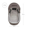 Inglesina Aptica XT System Quattro with Darwin Taiga Green