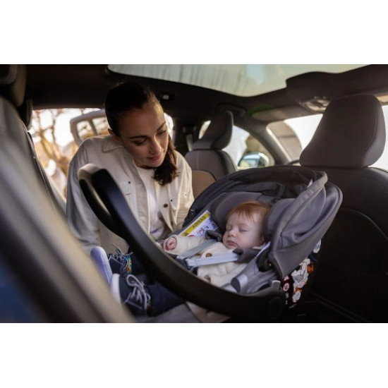 Inglesina Darwin Infant Car Seat Loft Green