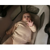 Inglesina Aptica System Quattro με Darwin Marble Grey (Palladio Black Chassis)